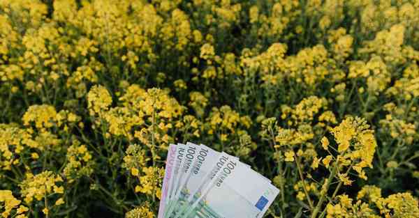 天龙八部黄日华版下载